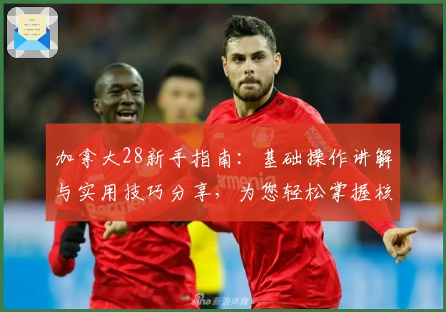 加拿大28新手指南：基础操作讲解与实用技巧分享，为您轻松掌握核心玩法