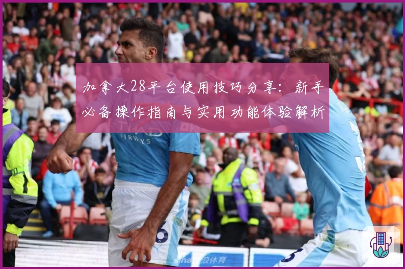 加拿大28平台使用技巧分享：新手必备操作指南与实用功能体验解析