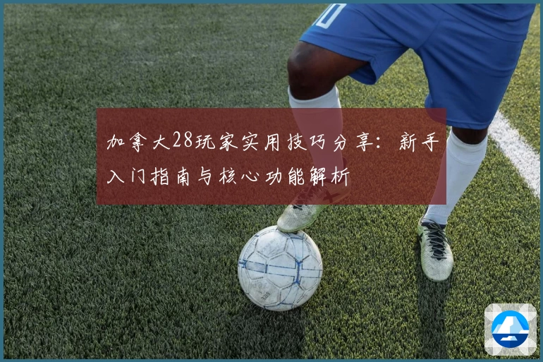 加拿大28玩家实用技巧分享：新手入门指南与核心功能解析