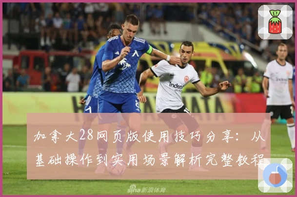 加拿大28网页版使用技巧分享：从基础操作到实用场景解析完整教程