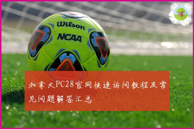 加拿大PC28官网快速访问教程及常见问题解答汇总