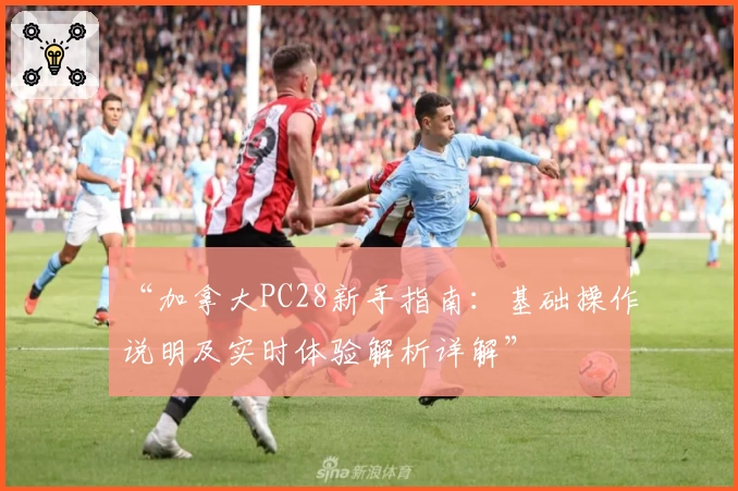 “加拿大PC28新手指南:基础操作说明及实时体验解析详解”