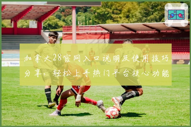 加拿大28官网入口说明及使用技巧分享，轻松上手热门平台核心功能解析