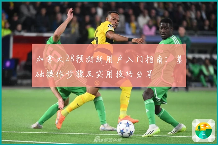 加拿大28预测新用户入门指南：基础操作步骤及实用技巧分享