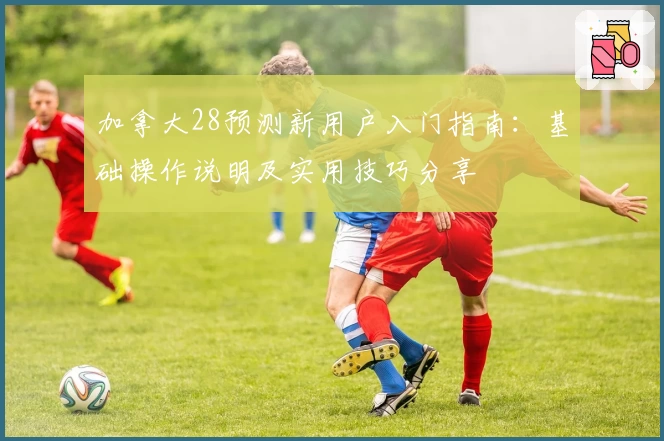 加拿大28预测新用户入门指南：基础操作说明及实用技巧分享