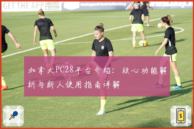 加拿大PC28平台介绍：核心功能解析与新人使用指南详解