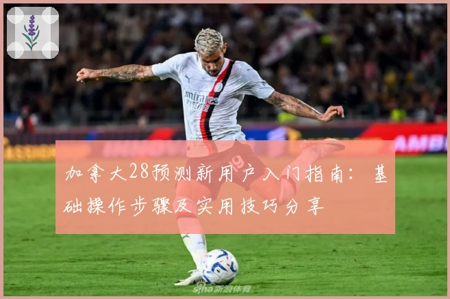 加拿大28预测新用户入门指南：基础操作步骤及实用技巧分享