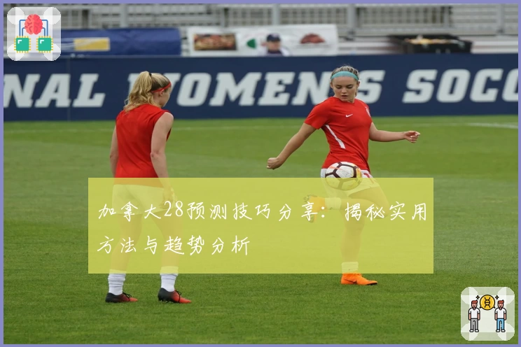 加拿大28预测技巧分享：揭秘实用方法与趋势分析