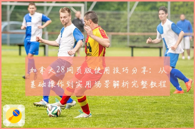 加拿大28网页版使用技巧分享：从基础操作到实用场景解析完整教程