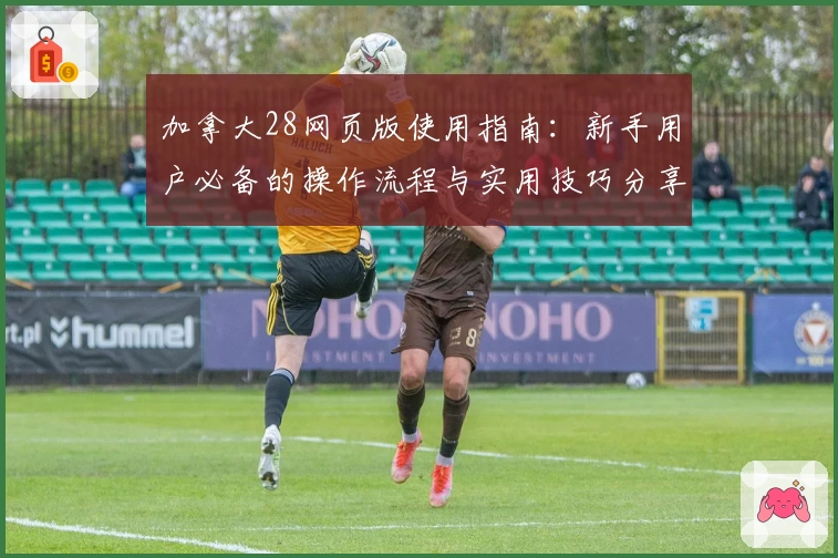 加拿大28网页版使用指南：新手用户必备的操作流程与实用技巧分享