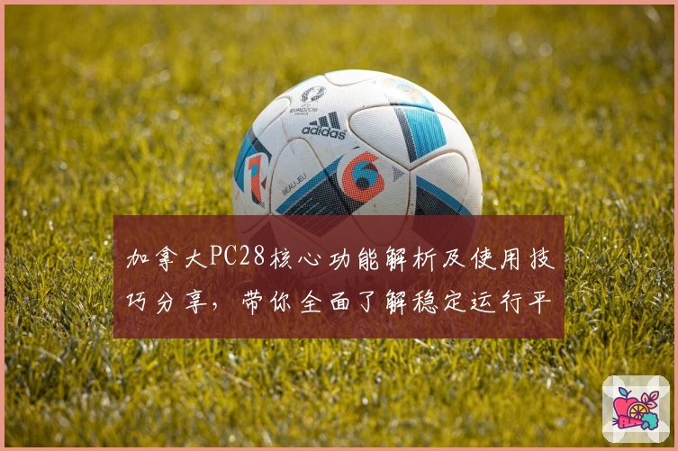 加拿大PC28核心功能解析及使用技巧分享,带你全面了解稳定运行平台的亮点