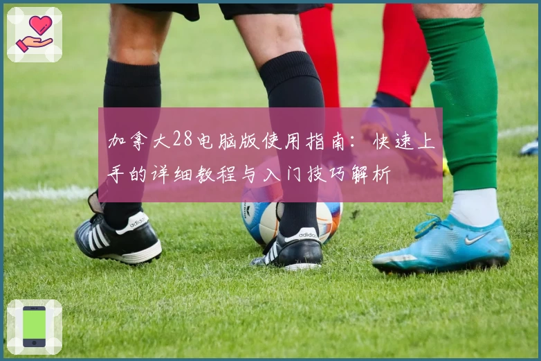 加拿大28电脑版使用指南：快速上手的详细教程与入门技巧解析