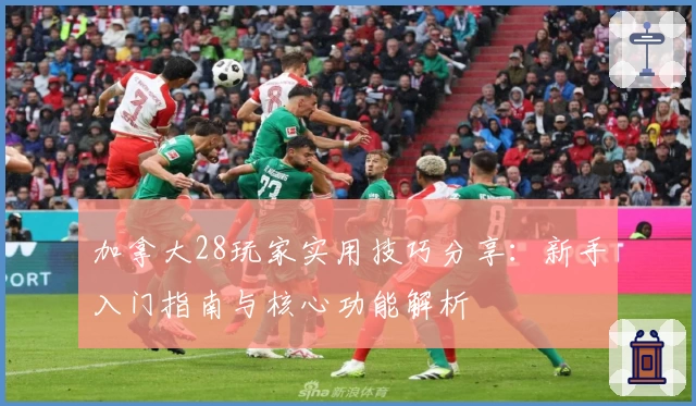 加拿大28玩家实用技巧分享：新手入门指南与核心功能解析